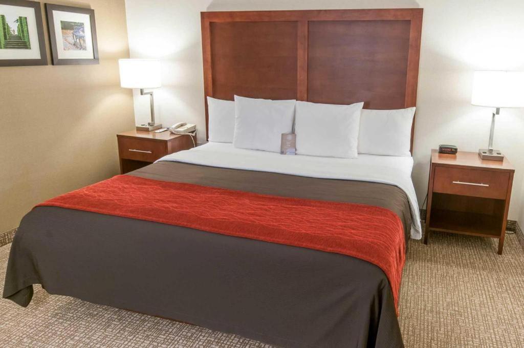 Comfort Inn Quantico Stafford Kültér fotó
