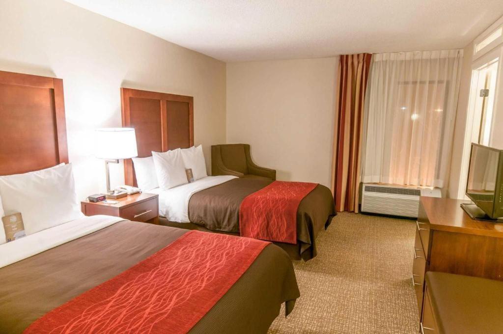Comfort Inn Quantico Stafford Kültér fotó
