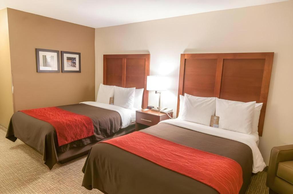 Comfort Inn Quantico Stafford Kültér fotó