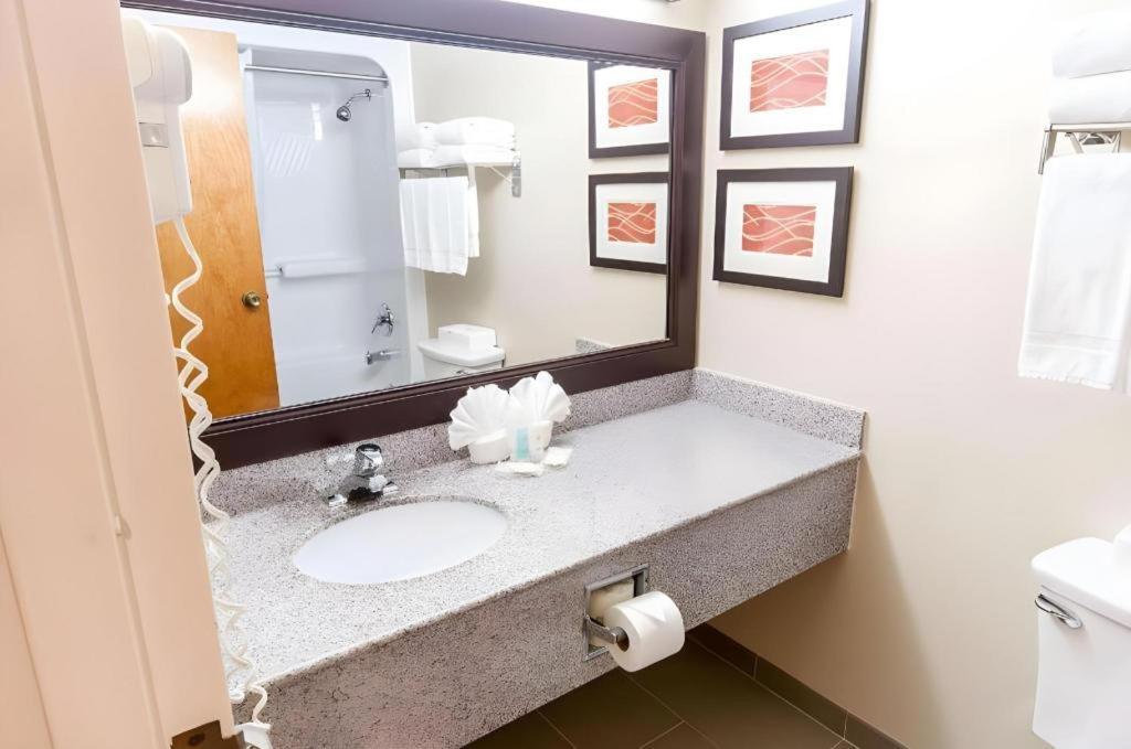 Comfort Inn Quantico Stafford Kültér fotó